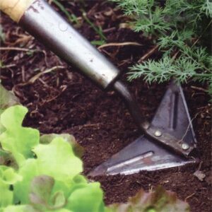 Winning Against Weeds: Organic Garden Weed Control Image